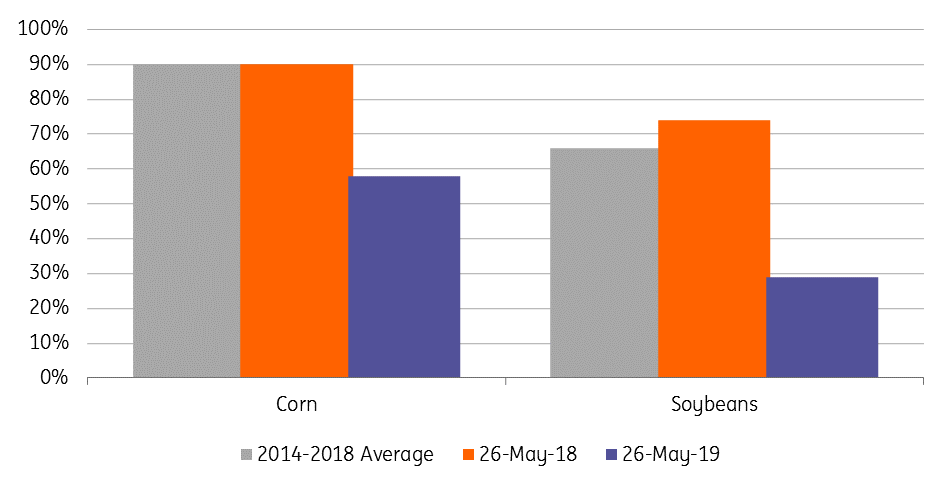 US planting progress (%)