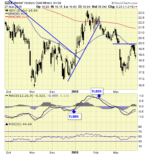 GDX Market Vectors Gold Miners Daily Chart