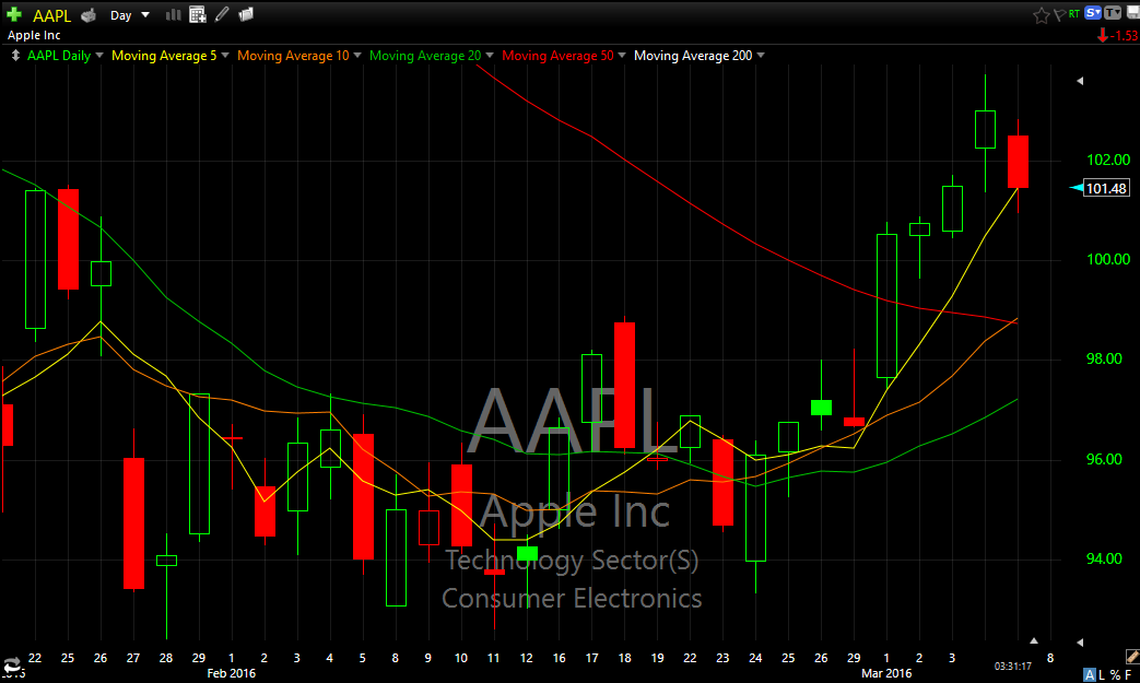 AAPL Daily Chart