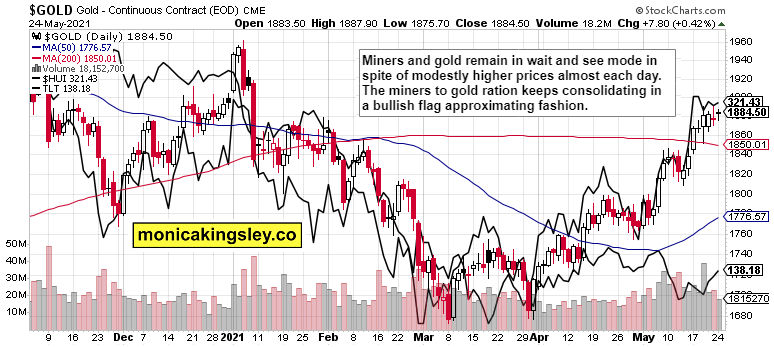 Gold, HUI And LTL Daily Combined Chart