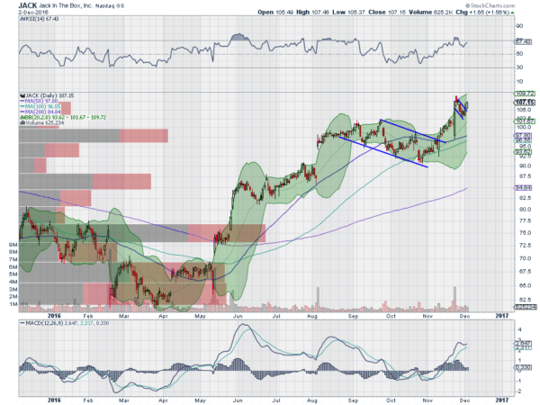 JACK Daily Chart