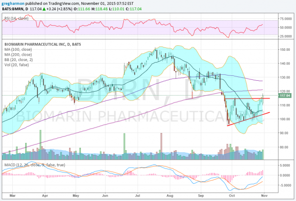 BMRN Daily Chart