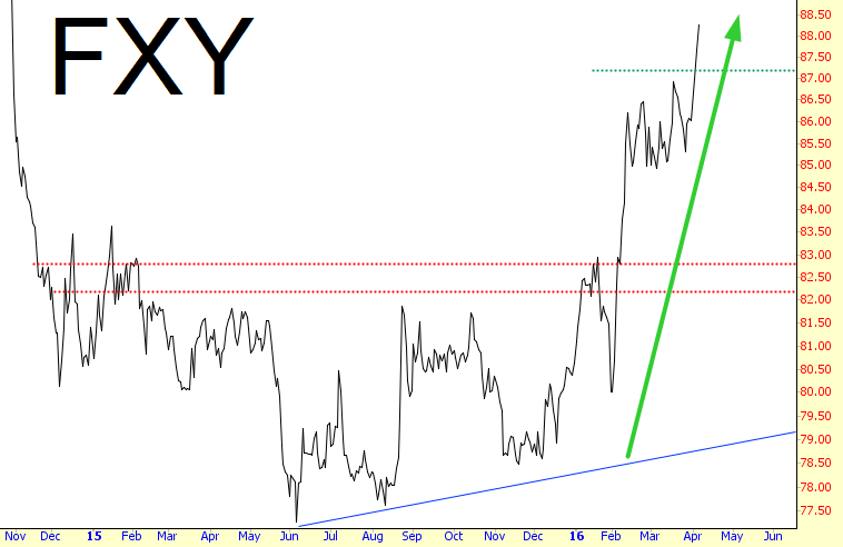 Guggenheim CurrencyShares Japanese Yen