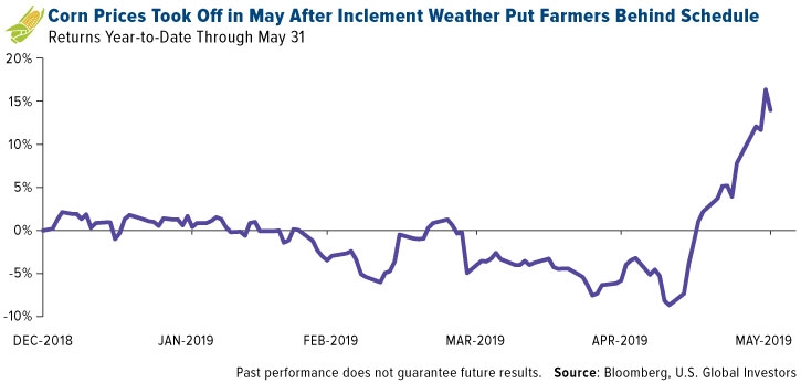 Corn Prices Took Off in May After Inclement Weather Put Farmers Behind Schedule