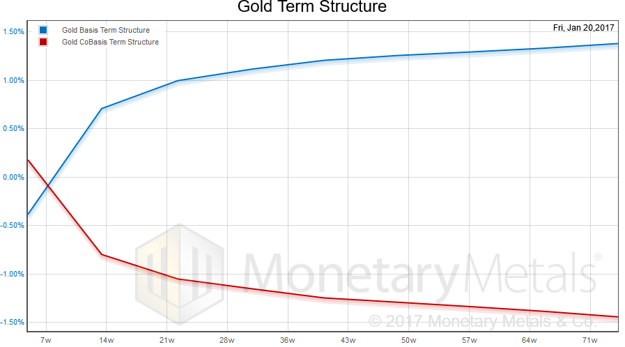 Gold Term Structure