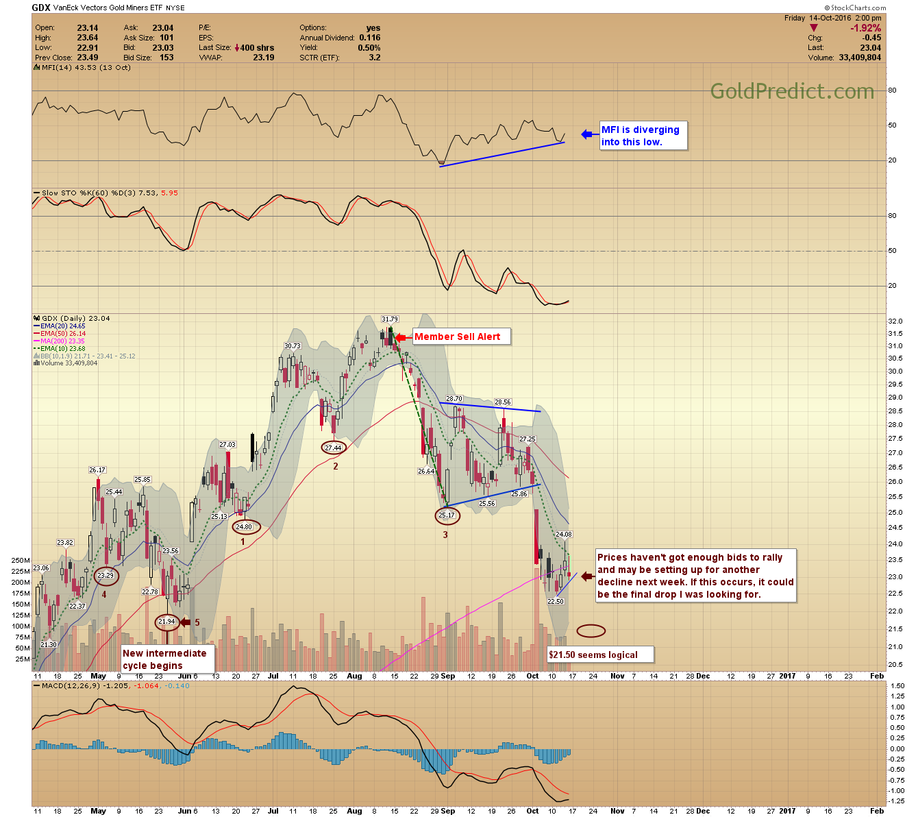 GDX Daily