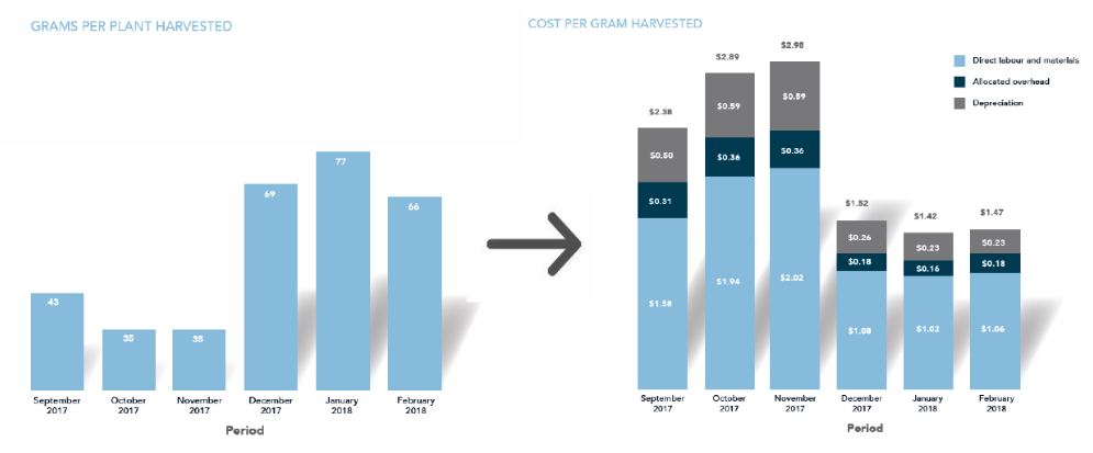 Organigram – Yields And Costs