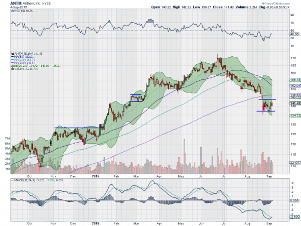 ANTM Daily Chart