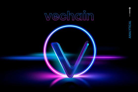 What’s Next for VeChain