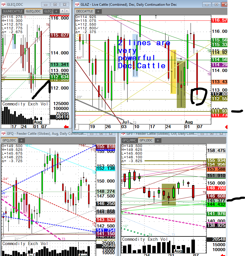 Cattle Feeders Charts 