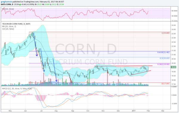 Corn Daily Chart