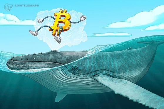 Bitcoin Whale Suggests BTC Price Will Crash — Halving Is Priced in