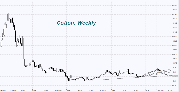 Cotton Weekly
