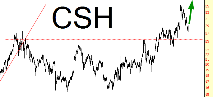 CSH Chart