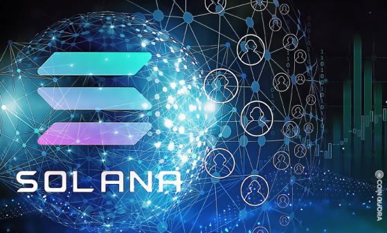 Solana (SOL) Price Rises by 50% As Airdrops Attract Users