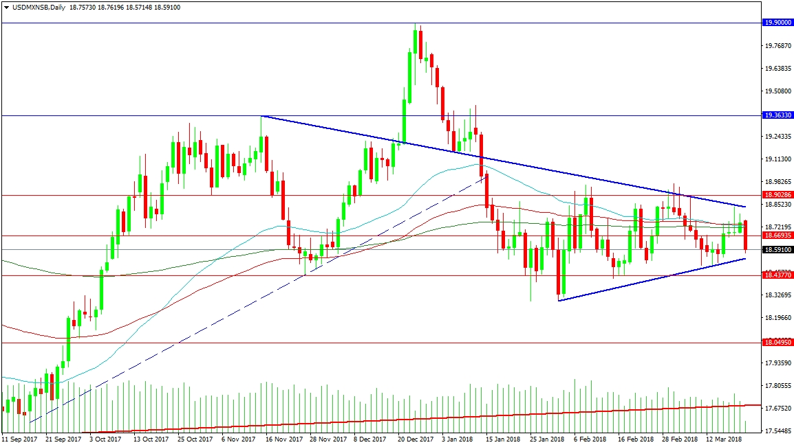 USD/MXN Daily chart