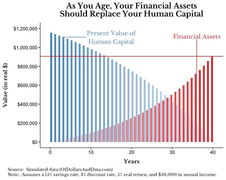 Age vs Financial Assets vs Human Capital