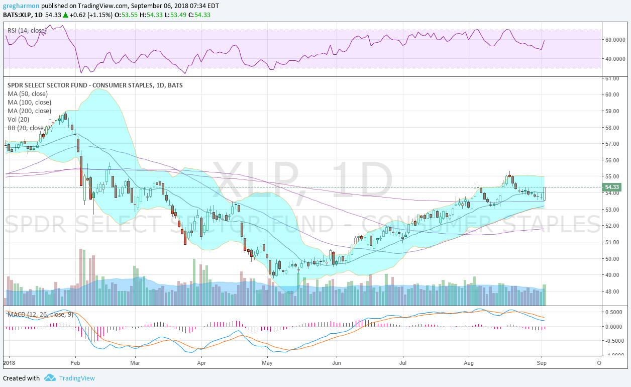 XLP 1 Day Chart