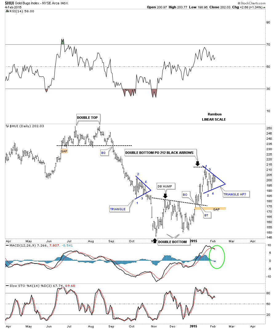 HUI Daily