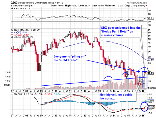 Market Vectors Gold Miners