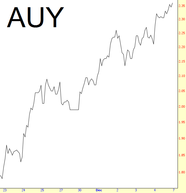 AUY Chart