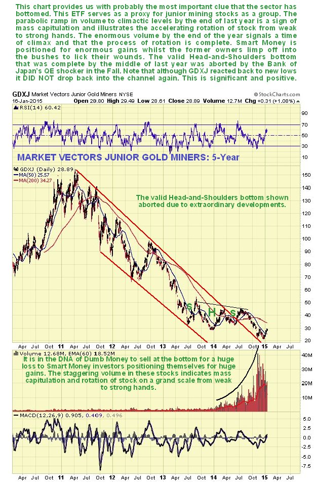 GDXJ Daily 5-Y View