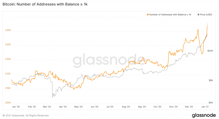 Bitcoin Number Of Addresses With Balance ≥1-K