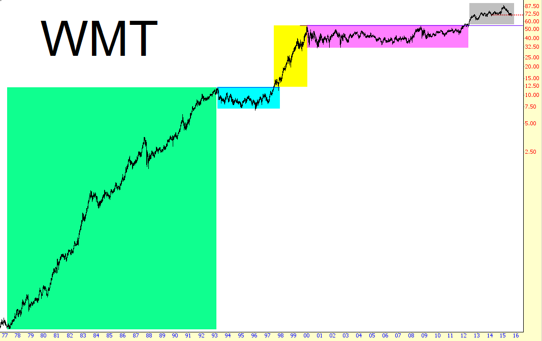WMT Long Term Chart