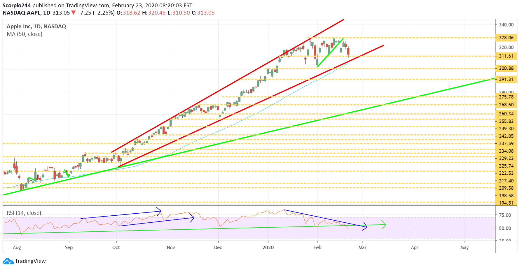 Apple Inc Daily Chart