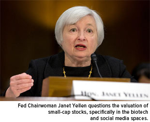 Fed Chairwoman Janet Yellen questions the valuation of small-cap-stocks, specifically in the biotech and social media spaces.
