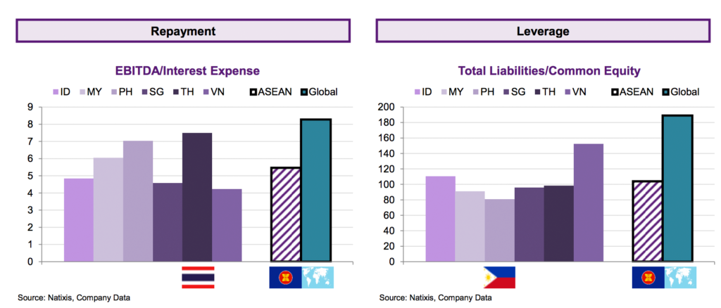 Repayment Leverage