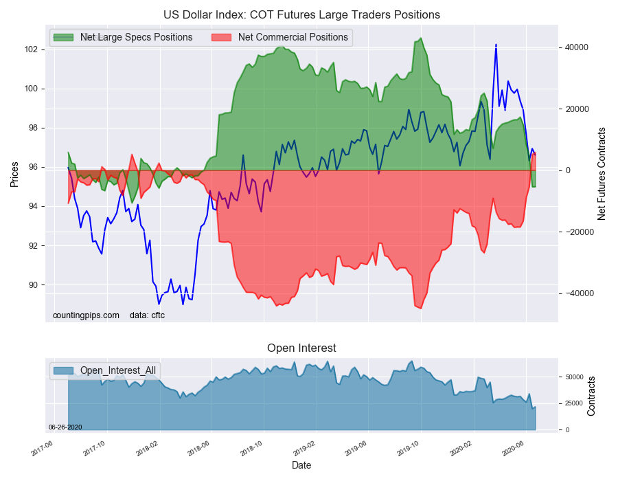 USD Index COT Futures Large Traders Positions