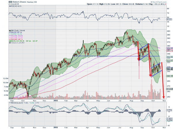 IBB Daily Chart