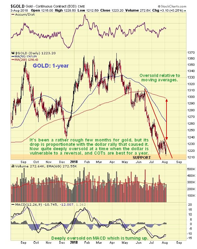 1-Year Gold