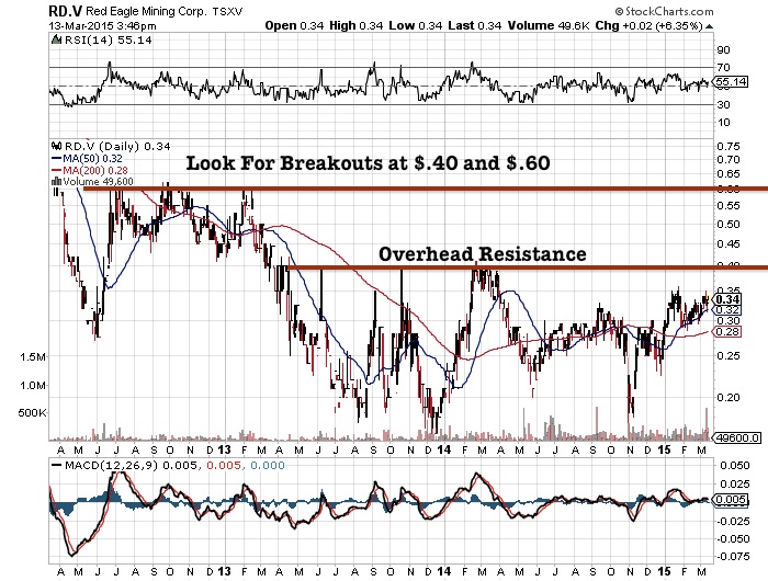 RDV Daily Chart