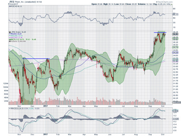 PEE Daily Chart