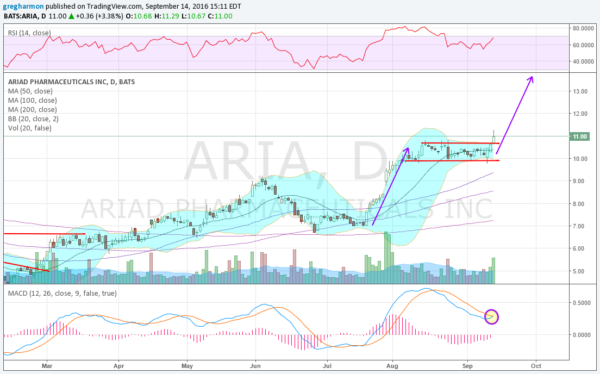 Aria Stock Chart