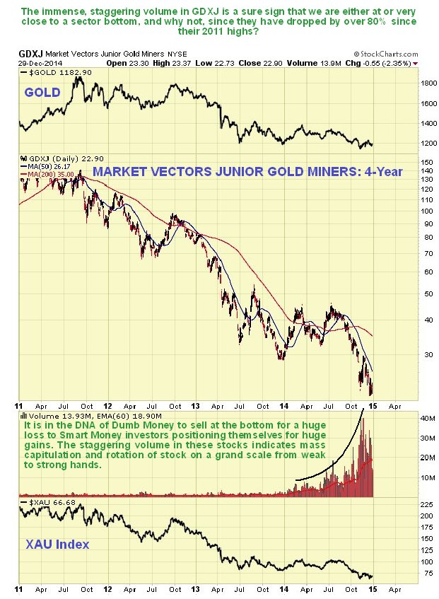 Market Vectors Junior Gold Miners: 4 Years