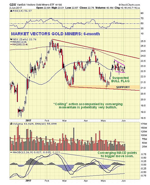 6-Month Gold Miners