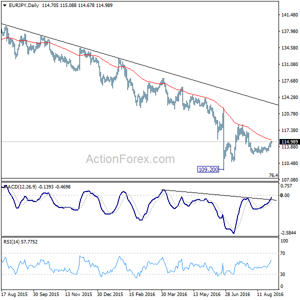 EUR/JPY Daily Chart