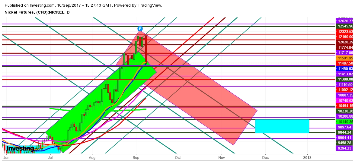 Nickel futures price Daily Chart - Expected Propositional Trading Zones