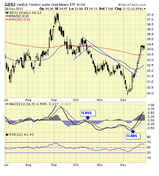 GDXJ Daily Chart