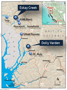 Dolly Varden Project Map