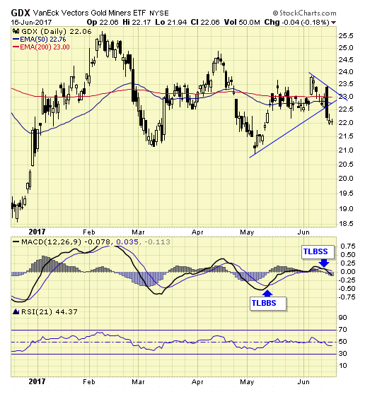 GDX Daily Chart