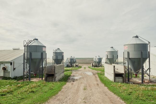 © Bloomberg. Storage silos stand on a hog farm near Le Mars, Iowa, U.S., on Wednesday, May 27, 2020. Wholesale pork prices have increased 51 percent, the USDA reported. Surging wholesale meat prices are starting to push up prices at grocery stores, while the risk of shortages is growing at a time that shoppers continue to fill their pantries and freezers with stay-at-home staples. Photographer: Dan Brouillette/Bloomberg