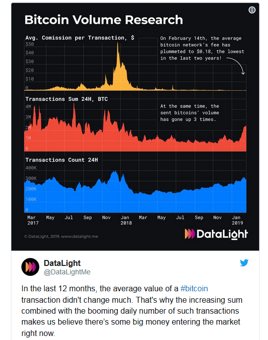 Bitcoin Volume Research
