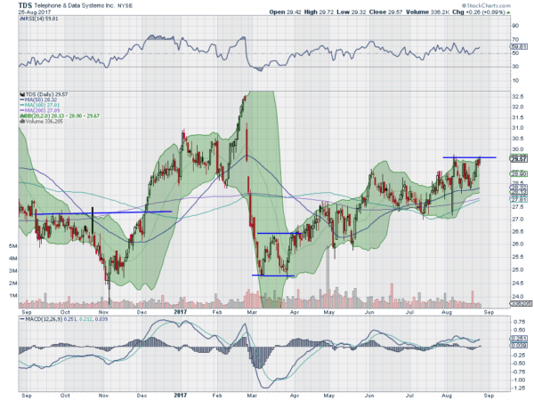 TDS Daily Chart