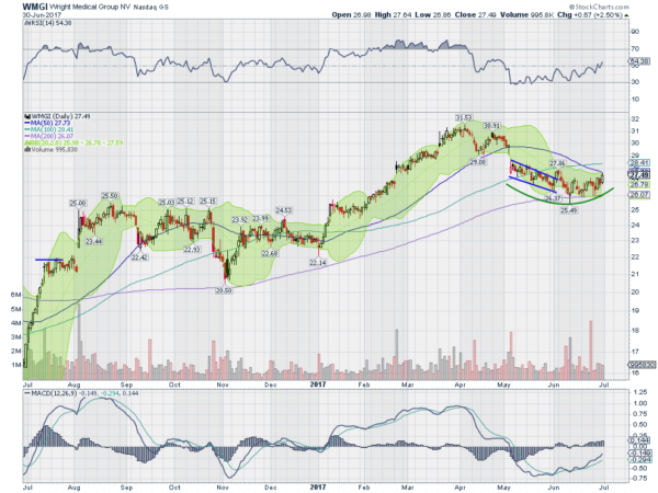 WMGI Daily Chart