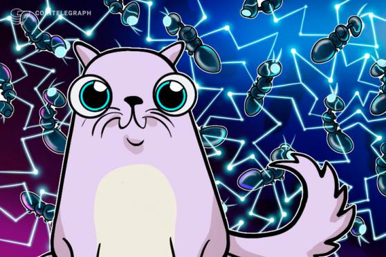 English rock band Muse collaborates on CryptoKitties campaign