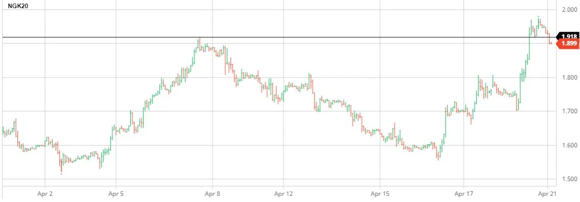 NGK20 Chart